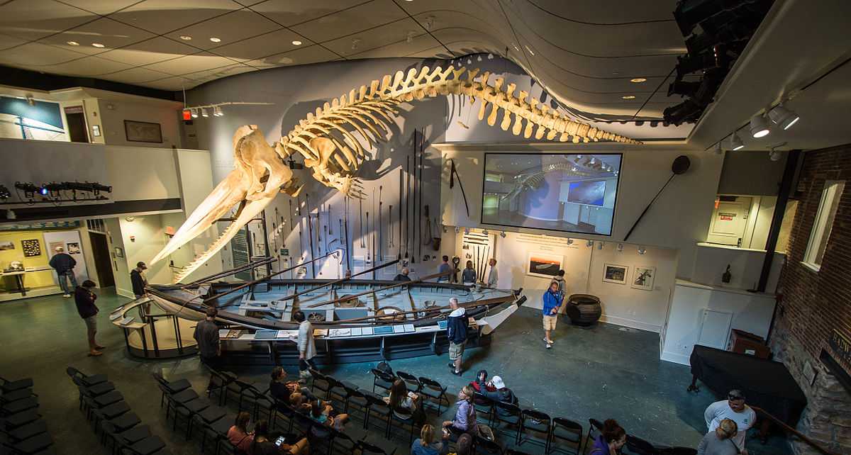Добро пожаловать в музей Nantucket Whaling Museum - (Нантакет - Соединённые  Штаты Америки) - откройте для себя картины 0