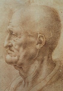 Leonardo da Vinci – Study of an Old Man's Profile